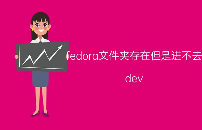 fedora文件夹存在但是进不去 dev.repo是什么文件？